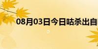 08月03日今日咕杀出自哪里（咕杀）