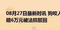 08月27日最新时讯 狗咬人被踢伤 狗主人索赔6万元被法院驳回