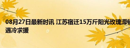 08月27日最新时讯 江苏宿迁15万斤阳光玫瑰滞销 甜蜜产业遇冷求援