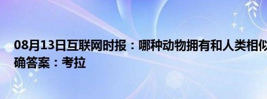 08月13日互联网时报：哪种动物拥有和人类相似的指纹 正确答案：考拉