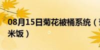 08月15日菊花被桶系统（菊花被桶系统by鸡米饭）