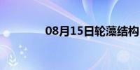 08月15日轮藻结构（轮藻）