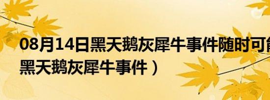 08月14日黑天鹅灰犀牛事件随时可能发生（黑天鹅灰犀牛事件）