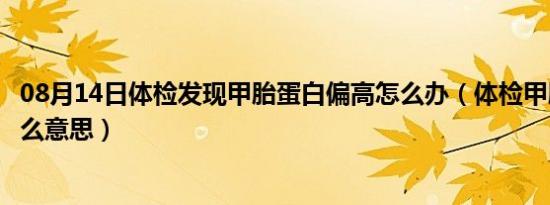 08月14日体检发现甲胎蛋白偏高怎么办（体检甲胎蛋白是什么意思）