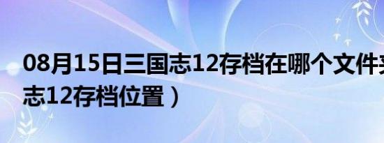 08月15日三国志12存档在哪个文件夹（三国志12存档位置）