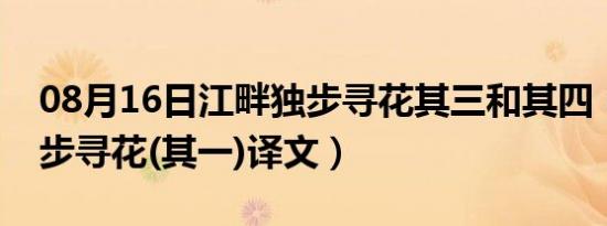 08月16日江畔独步寻花其三和其四（江畔独步寻花(其一)译文）