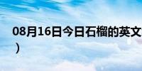 08月16日今日石榴的英文缩写（石榴的英文）