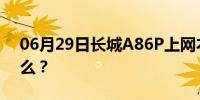 06月29日长城A86P上网本的电源接口是什么？