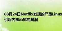 08月24日Netflix发现的严重Linux和FreeBSD漏洞，包括引起内核恐慌的漏洞