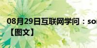 08月29日互联网学问：sony磁带摄像机推荐【图文】