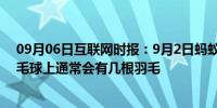 09月06日互联网时报：9月2日蚂蚁庄园小鸡问题：一只羽毛球上通常会有几根羽毛