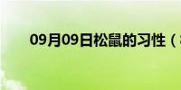 09月09日松鼠的习性（松鼠的习性）