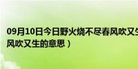 09月10日今日野火烧不尽春风吹又生的品格（野火烧不尽春风吹又生的意思）