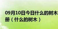 09月10日今日什么的树木填空词语二年级下册（什么的树木）