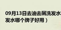 09月13日去油去屑洗发水哪个牌子好用（洗发水哪个牌子好用）