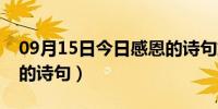 09月15日今日感恩的诗句或名言名句（感恩的诗句）