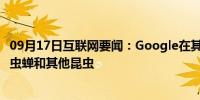 09月17日互联网要闻：Google在其AR搜索结果中添加了甲虫蝉和其他昆虫