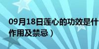 09月18日莲心的功效是什么（莲心的功效与作用及禁忌）