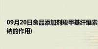 09月20日食品添加剂羧甲基纤维素钠的作用(羧甲基纤维素钠的作用)