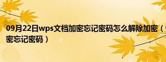 09月22日wps文档加密忘记密码怎么解除加密（wps文档加密忘记密码）