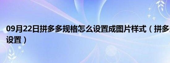 09月22日拼多多规格怎么设置成图片样式（拼多多规格怎么设置）