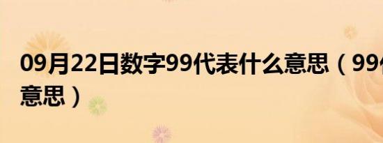 09月22日数字99代表什么意思（99代表什么意思）