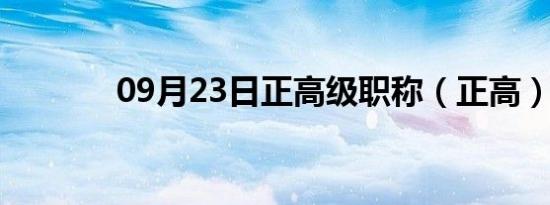 09月23日正高级职称（正高）