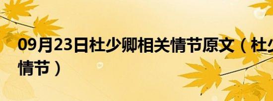 09月23日杜少卿相关情节原文（杜少卿相关情节）