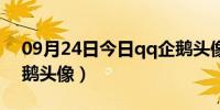 09月24日今日qq企鹅头像官方新版（qq企鹅头像）