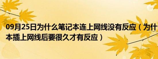 09月25日为什么笔记本连上网线没有反应（为什么我的笔记本插上网线后要很久才有反应）