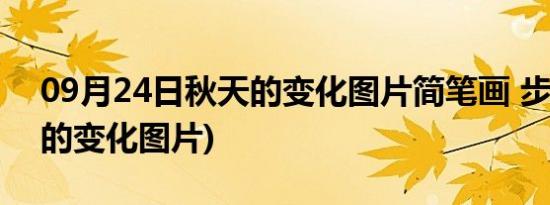 09月24日秋天的变化图片简笔画 步骤(秋天的变化图片)