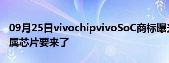 09月25日vivochipvivoSoC商标曝光手机专属芯片要来了