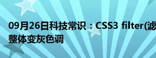 09月26日科技常识：CSS3 filter(滤镜) 网站整体变灰色调